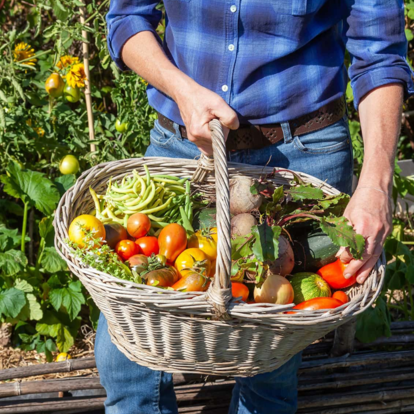 esc_html(Learn To Cook From Your Garden with Dominic & Jennifer Guzzetta)