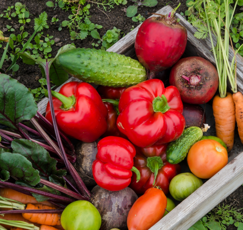 esc_html(Gardening In The UP: End Of Season Harvesting with Dominic & Jennifer Guzzetta)