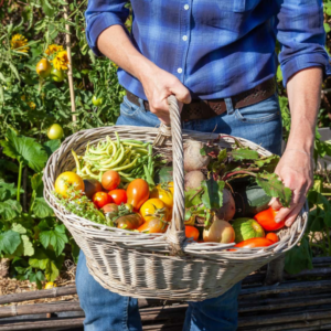 Cook Garden